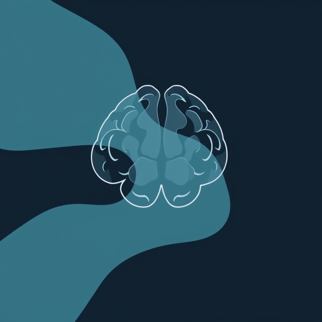 Brain hippocampus neural network memory diagram
